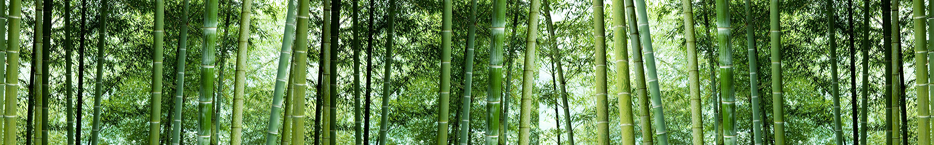 公司動(dòng)態(tài)